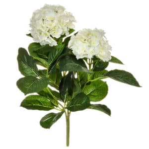 Plants Flowering Hydrangea Bush Crm 44cm