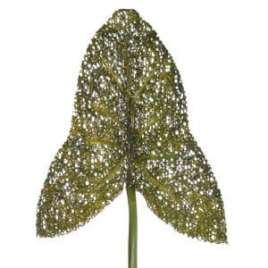 SF Leaf Elephant Ear Matt NG Green 80cm