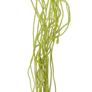 Foliage Floral Beading Green NG 90cm