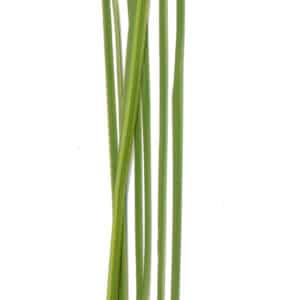 Foliage Floral Bind NG Light Green 120cm