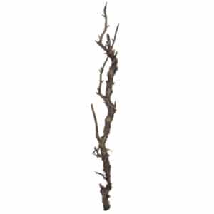 Foliage K Wood Brown 70cm