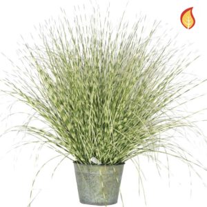 Grass Zebra Grass C in metal pot 114cm FR