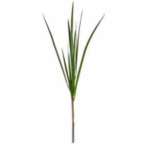 Grass Reed Stem K 130cm
