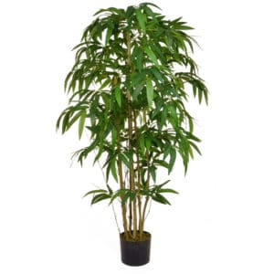 NTT Bamboo Contract Green 120cm