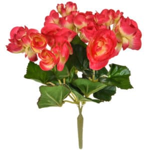 Plants Flowering Begonia DB Flame 28cm