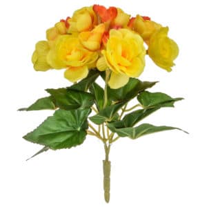 Plants Flowering Begonia DB Yell/Or 28cm