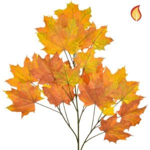 Foliage Maple North American Red 80cm FR