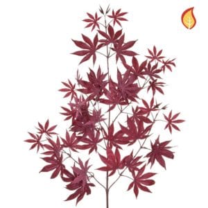 Foliage Maple Burgundy 70cm FR