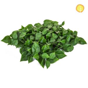 Topiary Mat DB Bougan 25x25cm UV