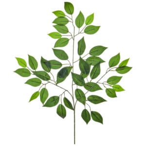 Foliage Ficus Deluxe Retusa Green 55cm