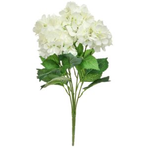 Plants Hydrangea Bush GB White 58cm