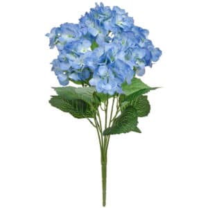 Plants Hydrangea Bush GB Blue 58cm