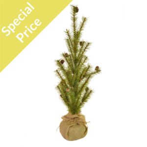 CH-Potted Pine Needle 68cm
