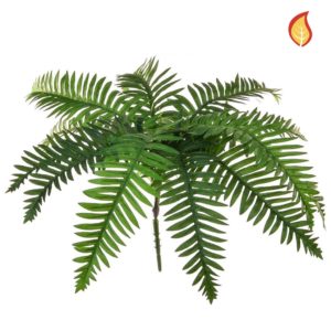 Plants Base Fern River Green SF 12lvs 45cm FR