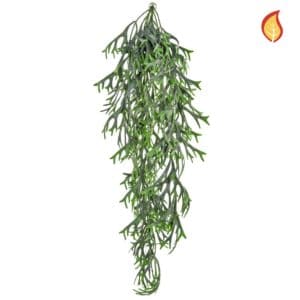I & T Staghorn Hanging FY 80cm FR