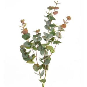 Foliage Eucalyptus RG GB 100cm