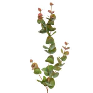 Foliage Eucalyptus RG GB 80cm