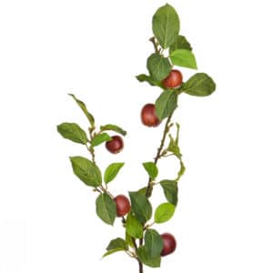 Foliage Apple W Red Fruit GB 109cm