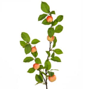 Foliage Apple W Yell Red Fruit GB 109cm