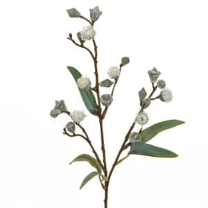 Foliage Eucalyptus Pod GB 62cm