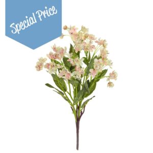 Plants Flowering Cherry Bloss PK GB 43cm