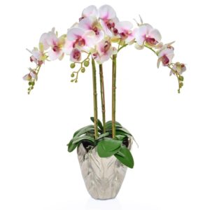 AN-Beauty Orchids XJ in Leaf Vase 70cm