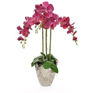 AN-Dk/Pk Orchids XJ in Leaf Vase 70cm