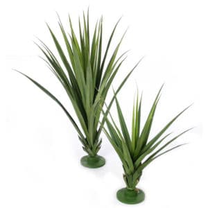 Plants Pandanus Green 18lvs 96cm