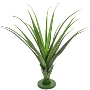 Plants Pandanus Green 31lvs 140cm