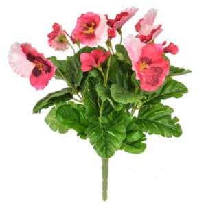 Plants Flowering Pansy Bush L/Pink 28cm
