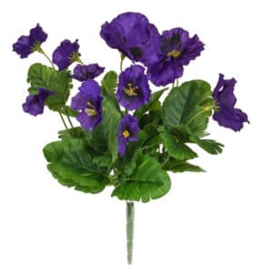 Plants Flowering Pansy Bush Purple 28cm