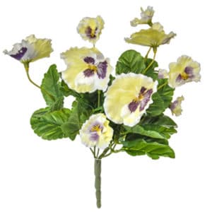 Plants Flowering Pansy Bush White 28cm