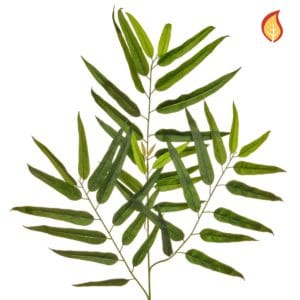 Foliage Longfolia Spray 42lvs 83cm FR