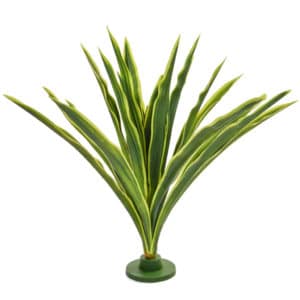 Plants Yucca Elephant 92cm