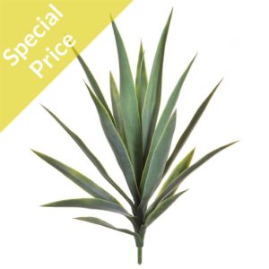 Plants Yucca Green w/24lvs 64cm