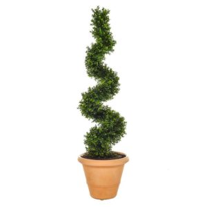AN-Buxus Spiral 120cm in Classic Brick Pot