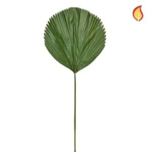 Foliage Licuala Grandis Palm DB 170cm FR