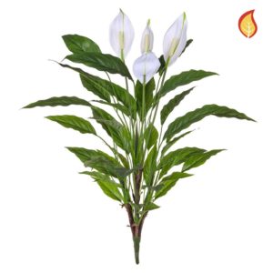 Plants Spath Bush YF 80cm FR