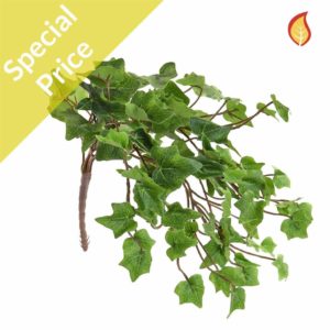I & T Ivy Bush Green 40cm FR