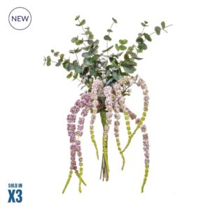 FB-Eucalyptus, Amaranthus 90cm