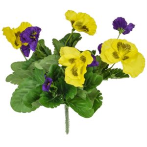 Plants Flowering Pansy Mix Bush P/Y 28cm