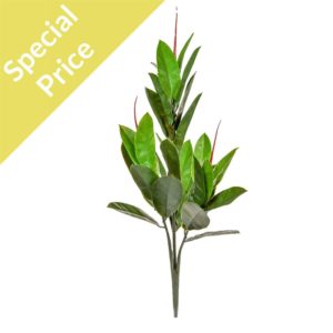 Plants Rubber Plant Plastic 36cm