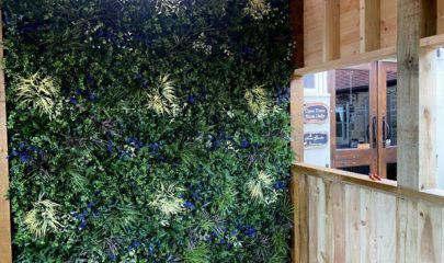 Neil common Neil common