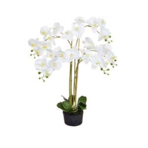 PP-Orchid Phal Real Touch White Y 90cm