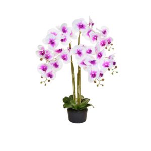 PP-Orchid Phal Real Touch Wh/Pk Y 90cm