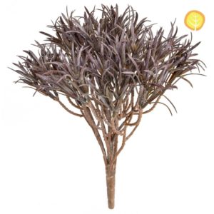 Plants Base Podocarpus Brown 46cm UVSILX