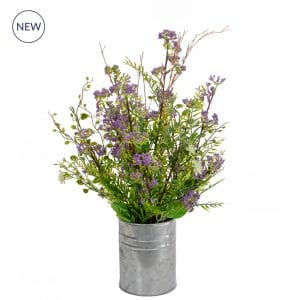 PP Berry Fern in Pot JA 50cm