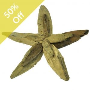 Q-Driftwood Starfish 40x40x5cm