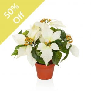 Christmas Poinsettia Potted White 25cm