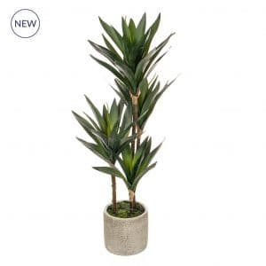 PP Yucca Mini in Grey Pot YF 65cm
